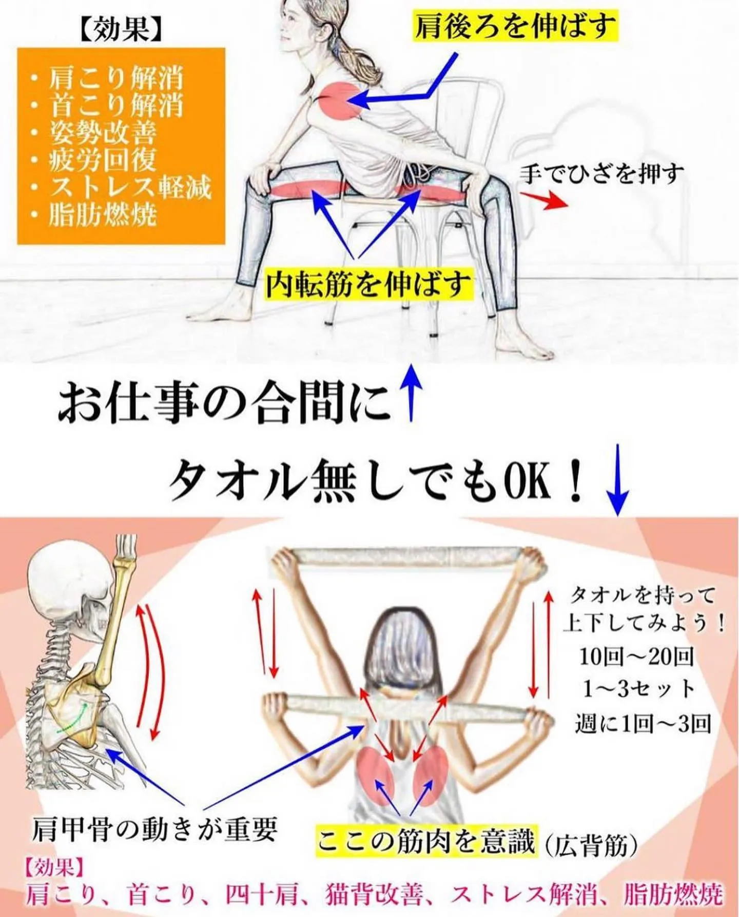 🔥代謝UP・脱リバウンドストレッチ&エクササイズ🔥
